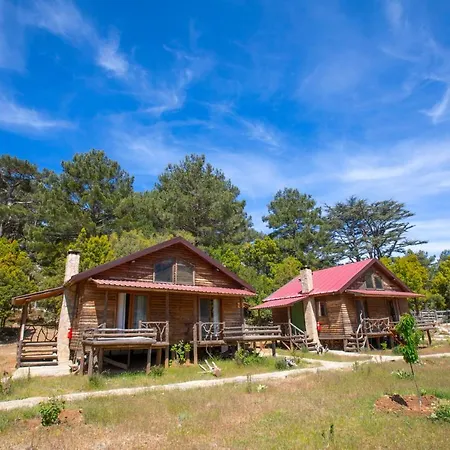 Babakamp Eco Ranch & Retreat Kamp alanı