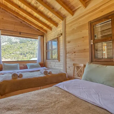 Kamp alanı Babakamp Eco Ranch & Retreat *