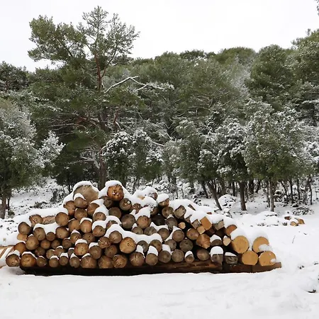 Babakamp Eco Ranch & Retreat 费特希耶