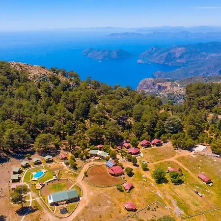 Babakamp Eco Ranch & Retreat Кемпинг